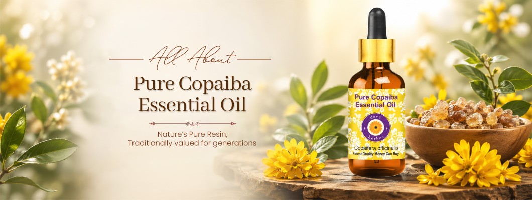 Copaiba Essential Oil: Benefits, Uses & Why It Belongs in Your Natural Wellness Routine Copaiba Essential Oil: Benefits, Uses & Why It Belongs in Your Natural Wellness Routine