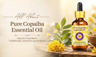 Copaiba Essential Oil: Benefits, Uses & Why It Belongs in Your Natural Wellness Routine