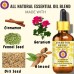 DIABETES RELIEF  - Aromatherapy Essential Oil Blend to Regulate Blood Sugar with Cinnamon, Fennel Seed, Dill Seed & Geranium Essential Oils
