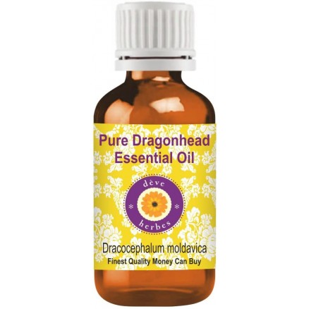 Pure Dragonhead Essential Oil (Dracocephalum moldavica) 100% Natural Therapeutic Grade Steam Distilled