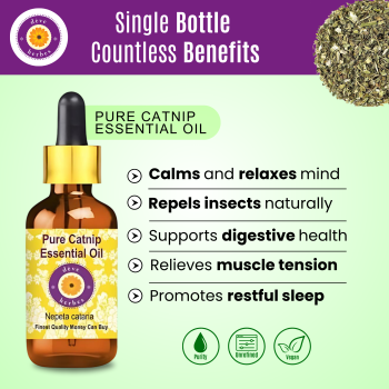 Pure Catnip Essential Oil