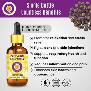  Pure Cubeb Essential Oil 10ml (Piper cubeba)