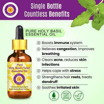 Pure Holy Basil Essential Oil 