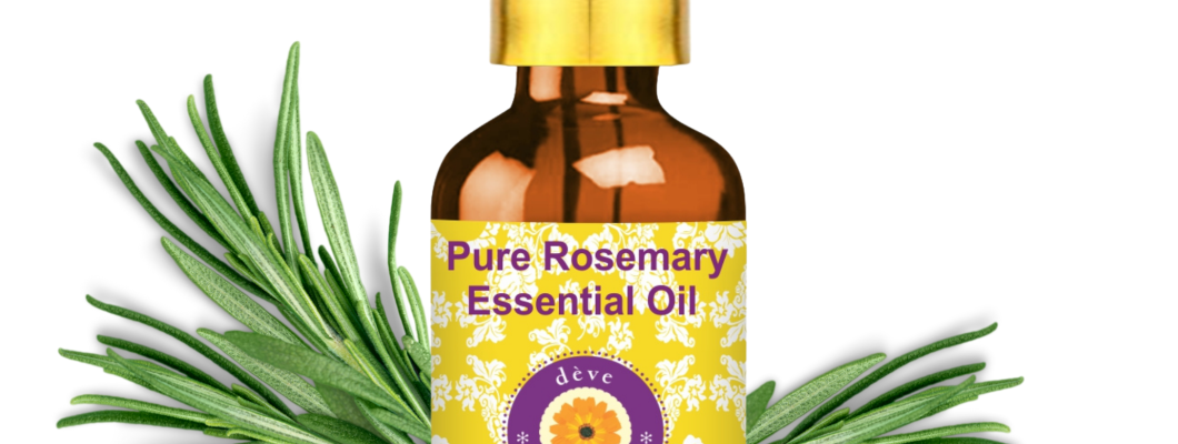 Rosemary Oil for Hair Growth: Benefits, Uses & Why It Works Rosemary Oil for Hair Growth: Benefits, Uses & Why It Works