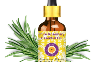 Rosemary Oil for Hair Growth: Benefits, Uses & Why It Works