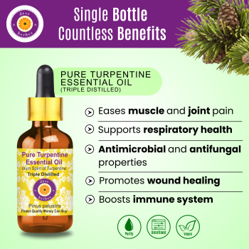 Pure Turpentine Essential Oil - Triple Distilled