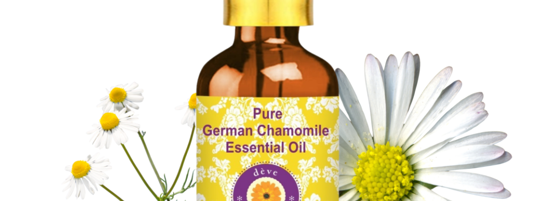 Pure German Chamomile Essential Oil: A Complete Guide to Skin Care, Relaxation & Daily Wellness