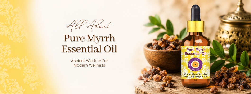 Myrrh Essential Oil Benefits, Uses, and Why It Belongs in Your Wellness Routine