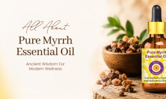 Myrrh Essential Oil Benefits, Uses, and Why It Belongs in Your Wellness Routine