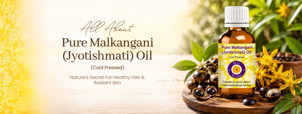 Pure Malkangani Oil in Summer: Benefits for Mental Clarity, Focus & Natural Wellness