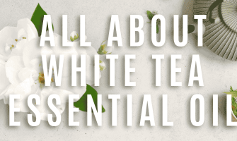 White Tea Essential Oil