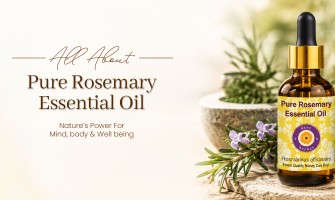 Rosemary Essential Oil Benefits: The Ultimate Guide to Nature's Most Powerful Herb Oil