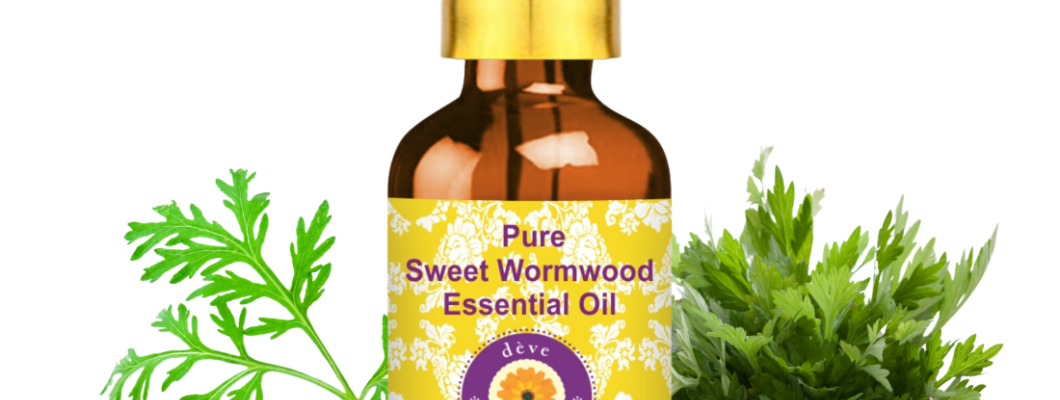 Sweet Wormwood Essential Oil Benefits, Uses & Why Wellness Enthusiasts Love It