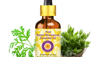 Sweet Wormwood Essential Oil Benefits, Uses & Why Wellness Enthusiasts Love It