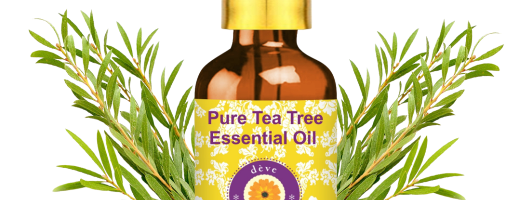 Pure Tea Tree Essential Oil: Benefits, Uses & Buying Guide Pure Tea Tree Essential Oil: Benefits, Uses & Buying Guide