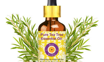 Pure Tea Tree Essential Oil: Benefits, Uses & Buying Guide