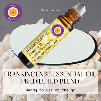 Frankincense Essential Oil Pre Diluted Roll-on Blend