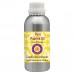 Pure Paprika Oil (Capsicum annuum) 100% Natural Therapeutic Grade Cold Pressed