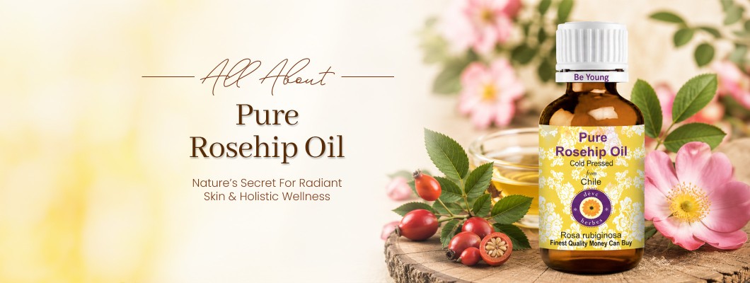 Rosehip Oil: The Ultimate Guide to Nature's Most Powerful Skin-Healing Oil Rosehip Oil: The Ultimate Guide to Nature's Most Powerful Skin-Healing Oil