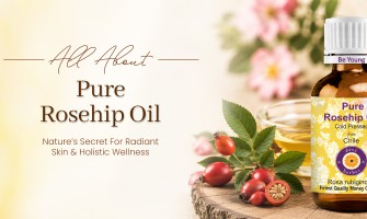 Rosehip Oil: The Ultimate Guide to Nature's Most Powerful Skin-Healing Oil
