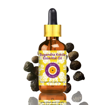 Pure Sugandha Kokila Essential Oil 