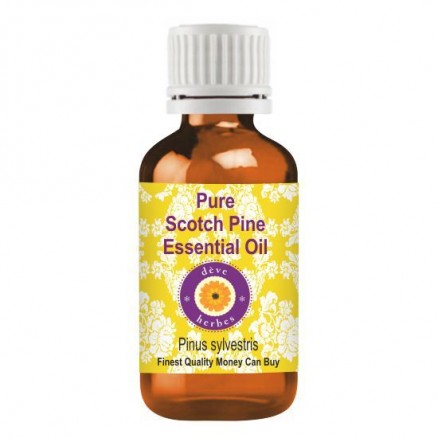 Pure Scotch Pine Essential Oil (Pinus sylvestris) 100% Natural Therapeutic Grade Steam Distilled