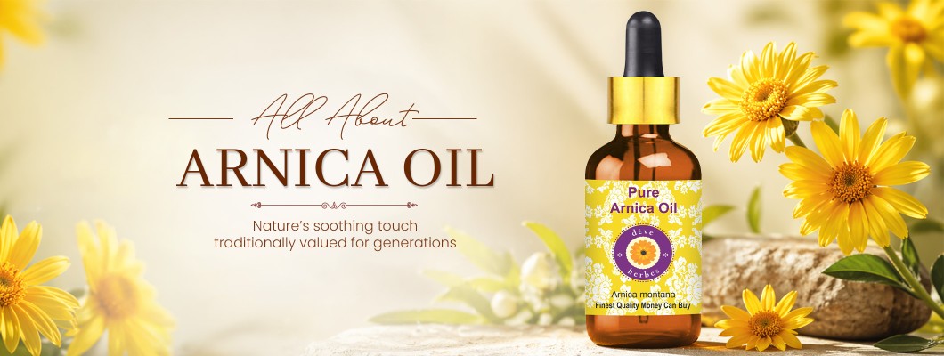 Arnica Oil – Benefits, Uses & Natural Relief for Muscle Pain Arnica Oil – Benefits, Uses & Natural Relief for Muscle Pain