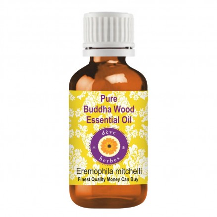 Pure Buddha Wood Essential Oil (Eremophila mitchelli) 100% Natural Therapeutic Grade Steam Distilled