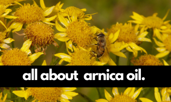 Arnica Oil