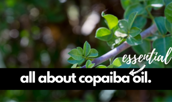 Copaiba Essential Oil