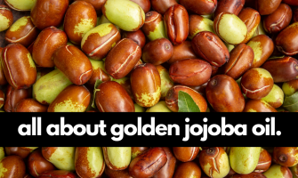 Golden Jojoba Oil