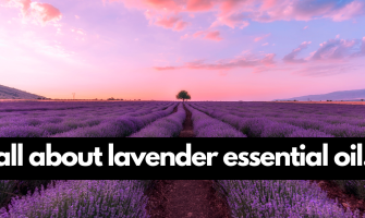 Lavender Essential Oil