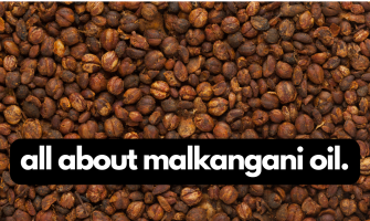 Malkangani (Malkangani / Jyotishmati) Oil