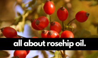 Rosehip Oil