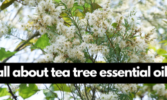Tea Tree Essential Oil