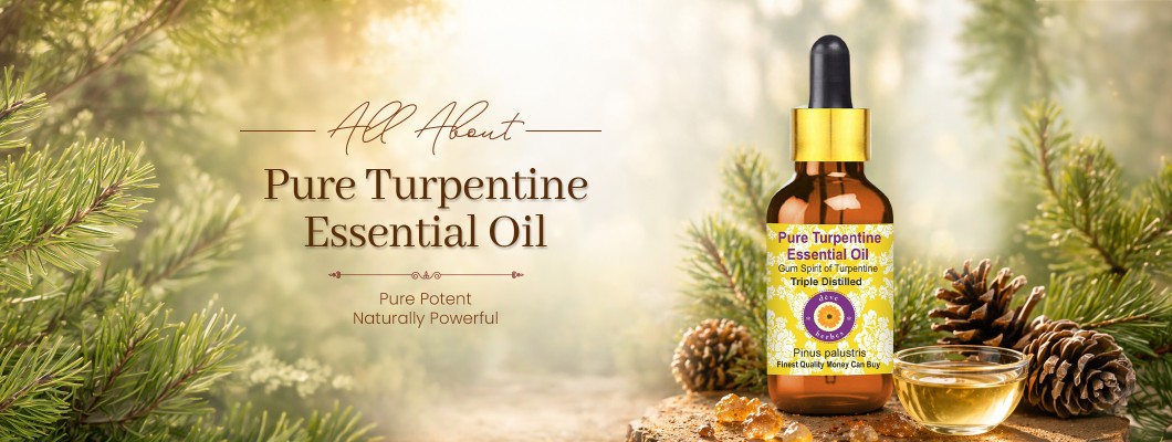 Turpentine Essential Oil: Benefits, Uses & Complete Guide
