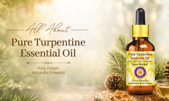 Turpentine Essential Oil: Benefits, Uses & Complete Guide